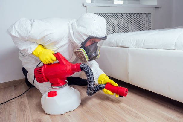 Pest Control for Hotels in Roselle Park, NJ